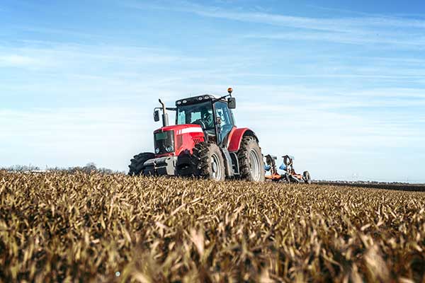 agricolo